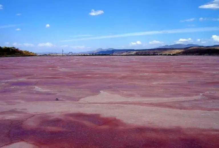 Lake Magadi