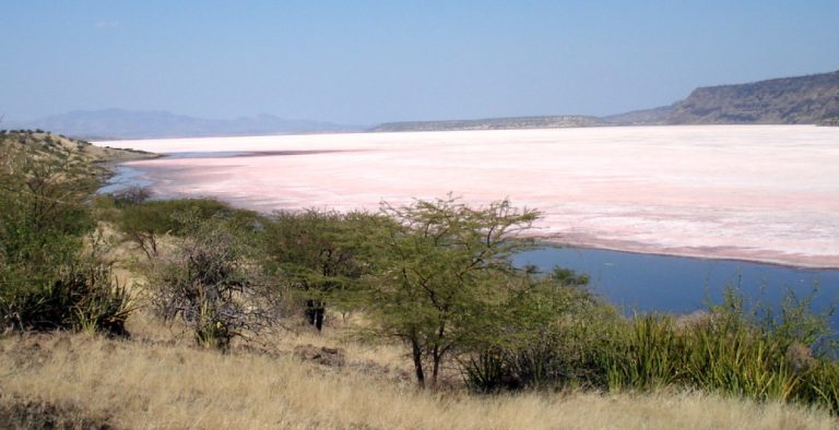 Lake Magadi