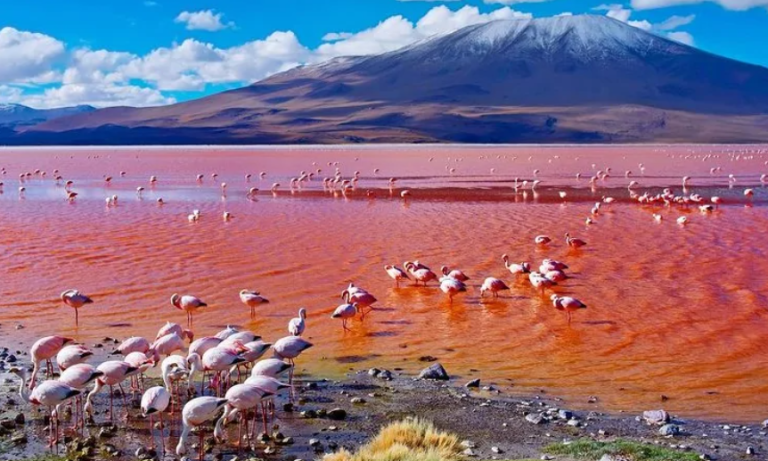 Lake Natron