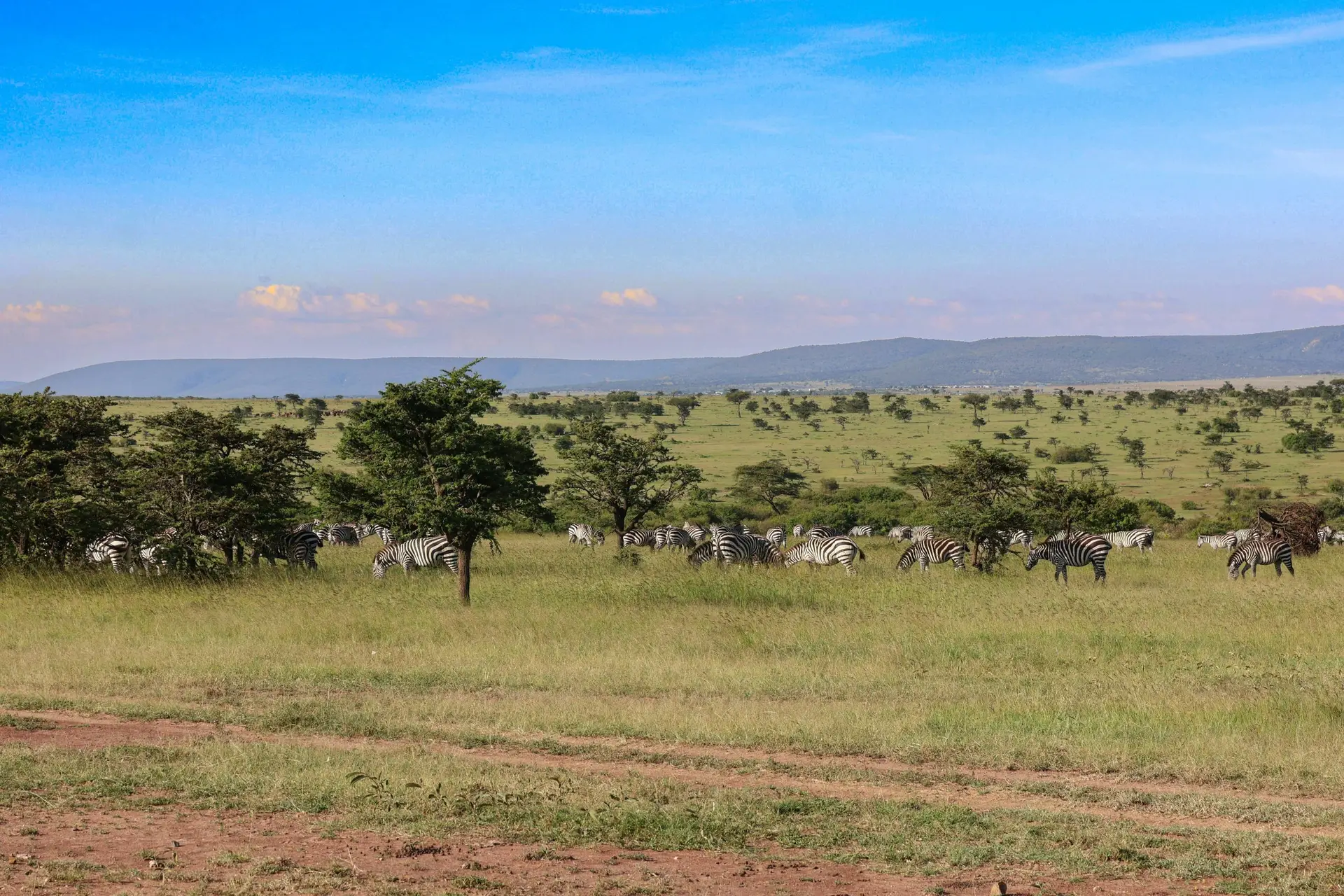narok