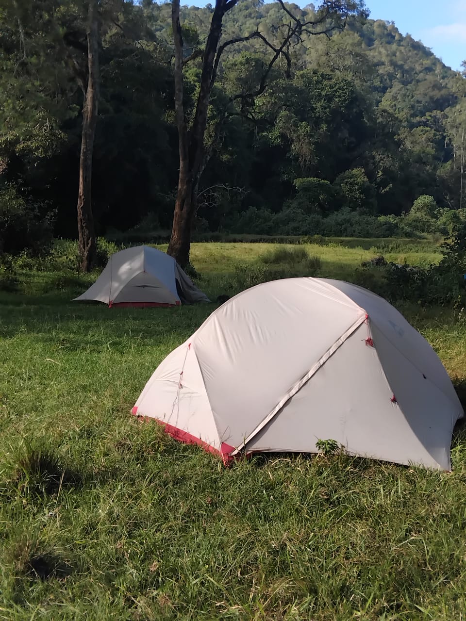 Campings at Loita Forest