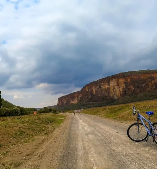 biking2