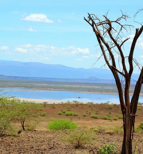 lake-magadi-conservancy